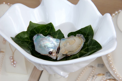 ���-���������